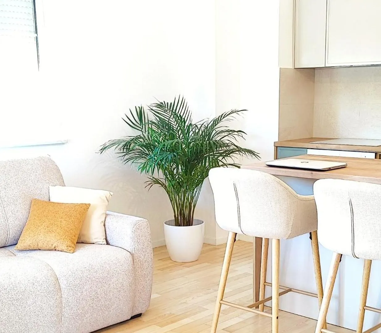 Apartment Luna Serene Garden Home - Jacuzzi & Gym Zadar