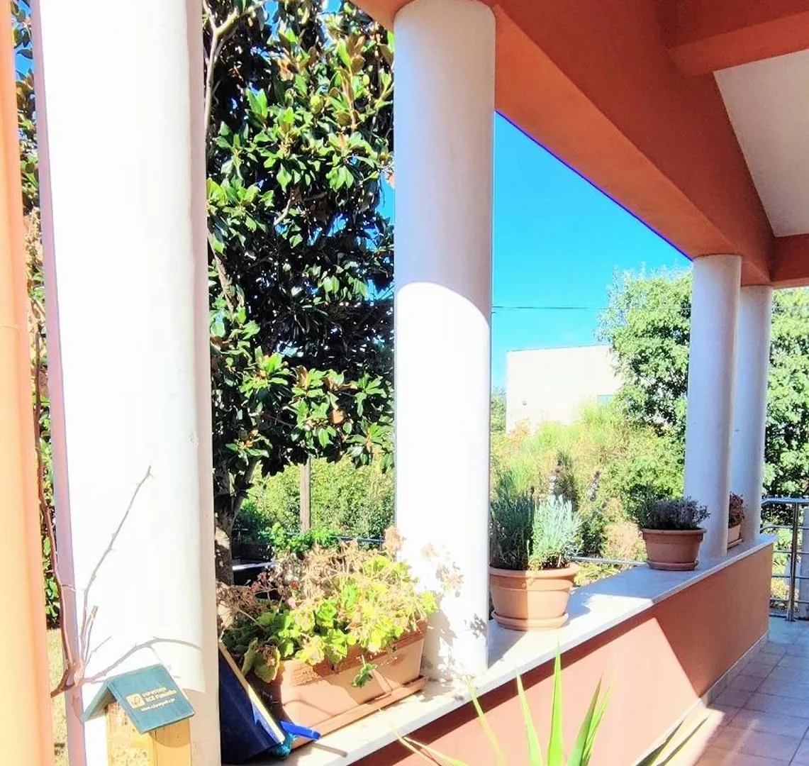 Apartment Luna Serene Garden Home - Jacuzzi & Gym Zadar Croatia